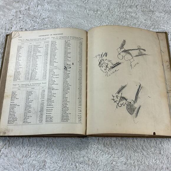 Essentials of Geography Second Book Wisconsin Edition 1916 vintage book - Picture 14 of 15